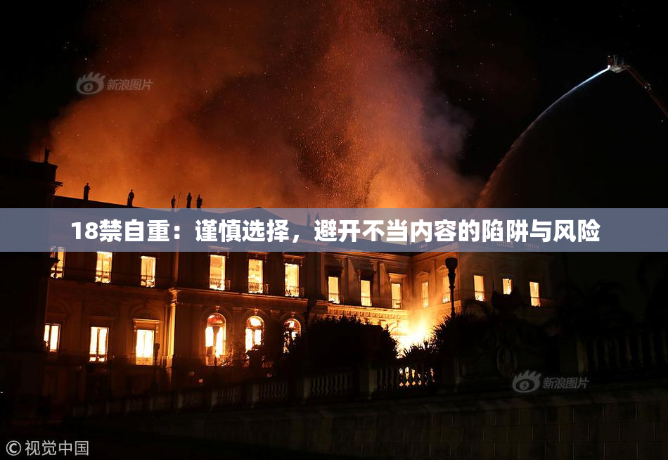 18禁自重：谨慎选择，避开不当内容的陷阱与风险