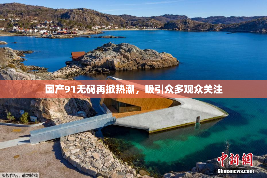 国产91无码再掀热潮，吸引众多观众关注