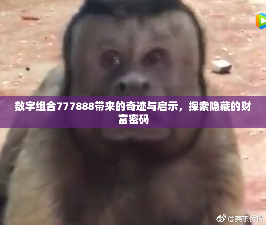 数字组合777888带来的奇迹与启示，探索隐藏的财富密码