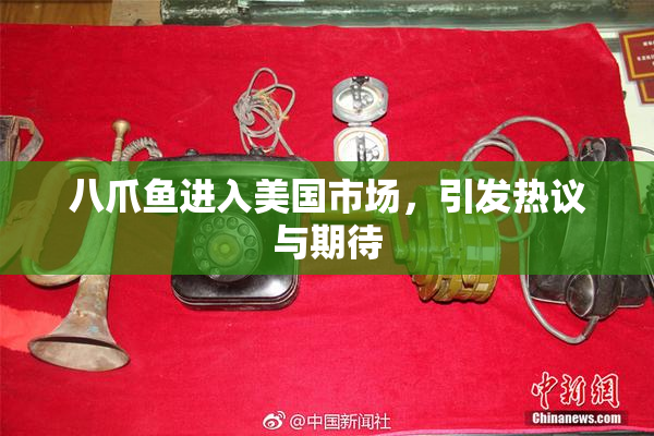 八爪鱼进入美国市场，引发热议与期待