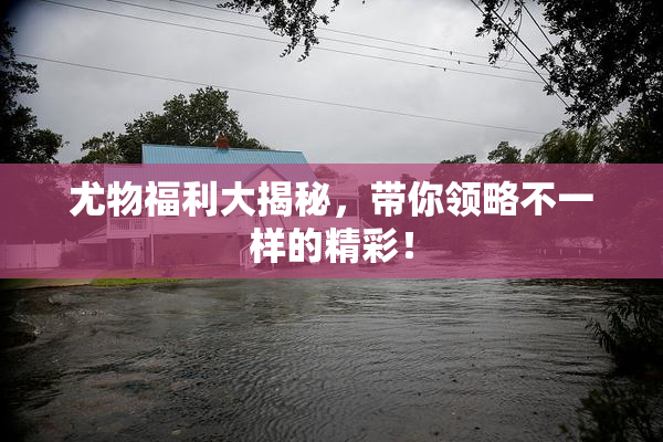 尤物福利大揭秘，带你领略不一样的精彩！