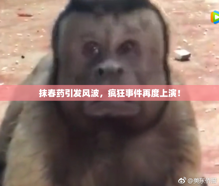 抹春药引发风波，疯狂事件再度上演！
