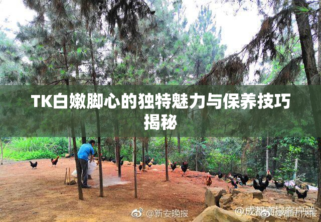 TK白嫩脚心的独特魅力与保养技巧揭秘