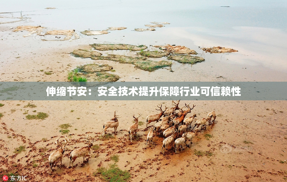 伸缩节安：安全技术提升保障行业可信赖性