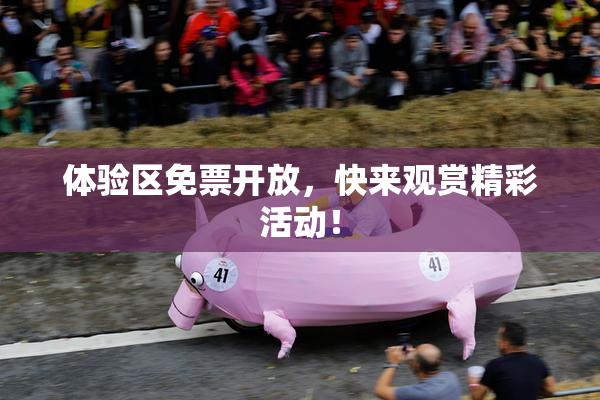 体验区免票开放，快来观赏精彩活动！