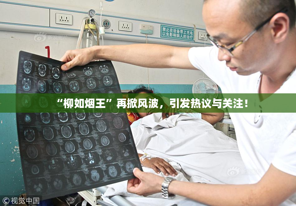 “柳如烟王”再掀风波，引发热议与关注！