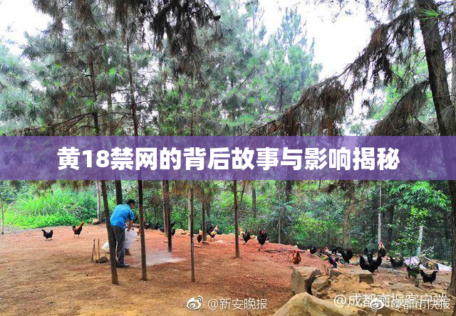 黄18禁网的背后故事与影响揭秘