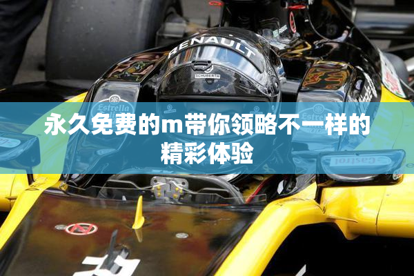 永久免费的m带你领略不一样的精彩体验