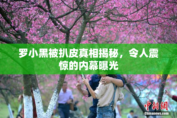 罗小黑被扒皮真相揭秘，令人震惊的内幕曝光