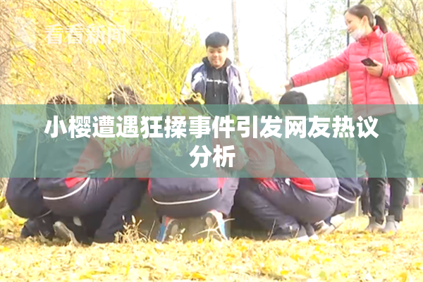 小樱遭遇狂揉事件引发网友热议分析