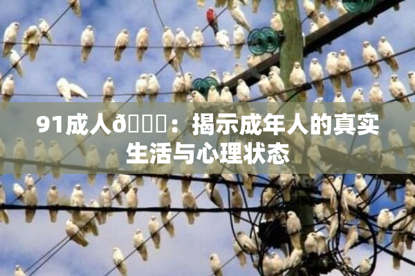91成人🔞：揭示成年人的真实生活与心理状态