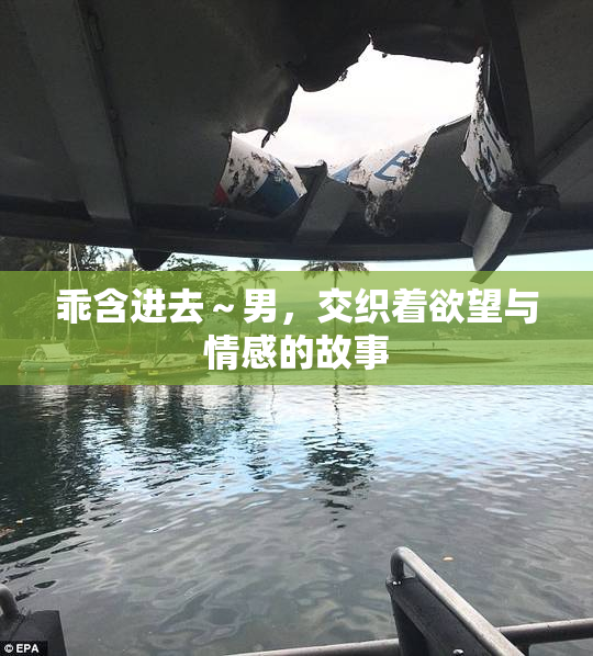 乖含进去～男，交织着欲望与情感的故事