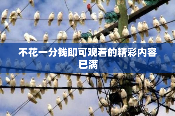 不花一分钱即可观看的精彩内容已满