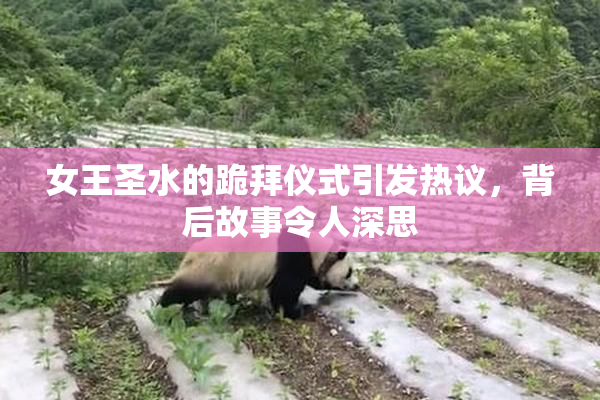 女王圣水的跪拜仪式引发热议，背后故事令人深思