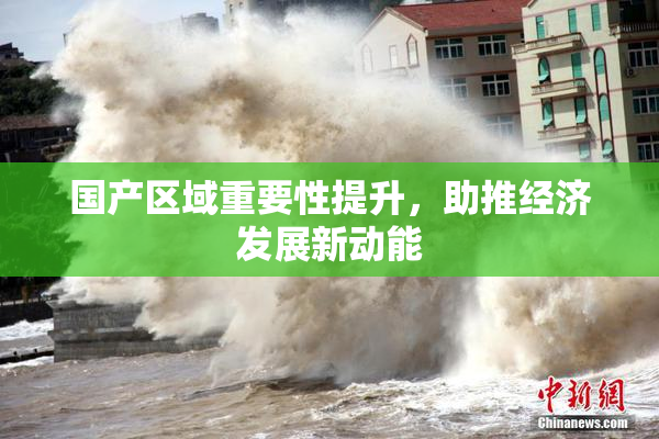 国产区域重要性提升，助推经济发展新动能