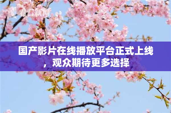 国产影片在线播放平台正式上线，观众期待更多选择