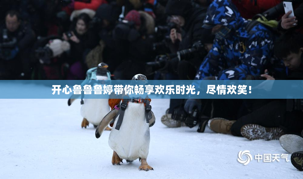 开心鲁鲁鲁婷带你畅享欢乐时光，尽情欢笑！