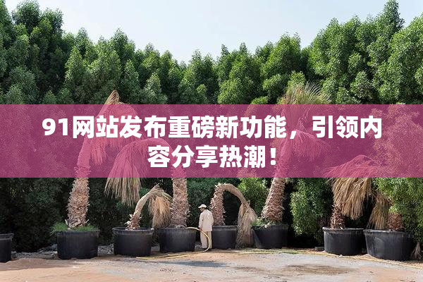 91网站发布重磅新功能，引领内容分享热潮！