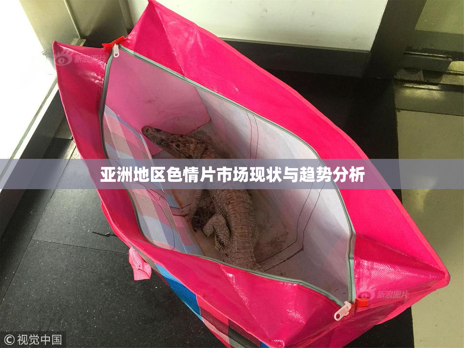 亚洲地区色情片市场现状与趋势分析