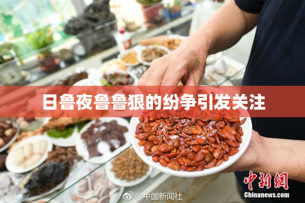 日鲁夜鲁鲁狠的纷争引发关注