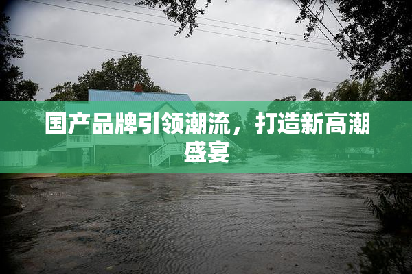 国产品牌引领潮流，打造新高潮盛宴