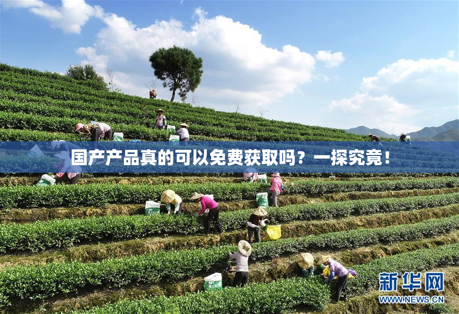 国产产品真的可以免费获取吗？一探究竟！