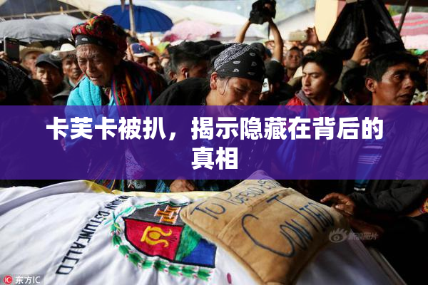 卡芙卡被扒，揭示隐藏在背后的真相