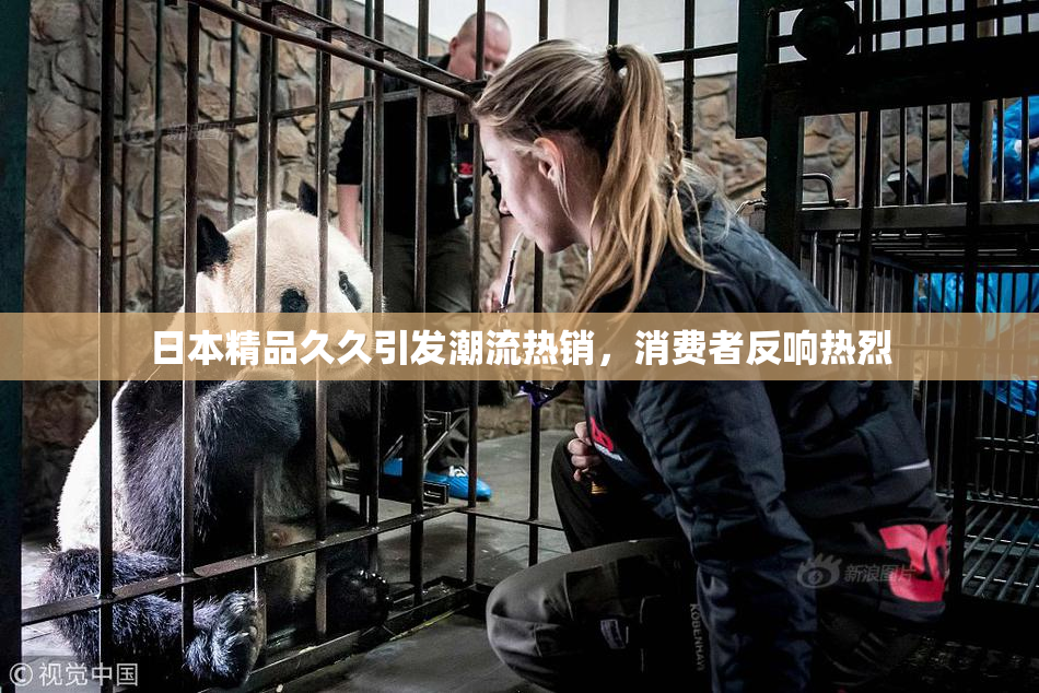 日本精品久久引发潮流热销，消费者反响热烈
