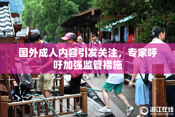 国外成人内容引发关注，专家呼吁加强监管措施