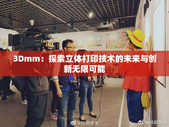 3Dmm：探索立体打印技术的未来与创新无限可能