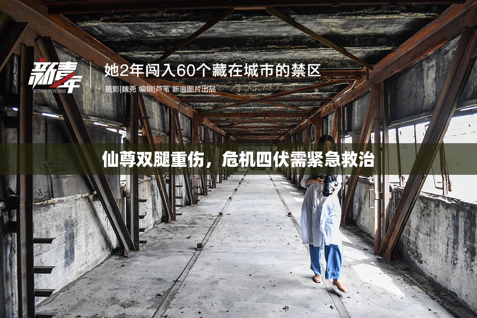 仙尊双腿重伤，危机四伏需紧急救治