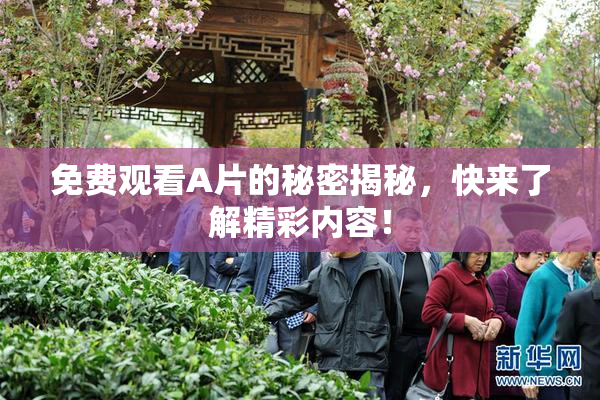 免费观看A片的秘密揭秘，快来了解精彩内容！