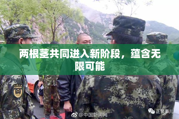 两根茎共同进入新阶段，蕴含无限可能