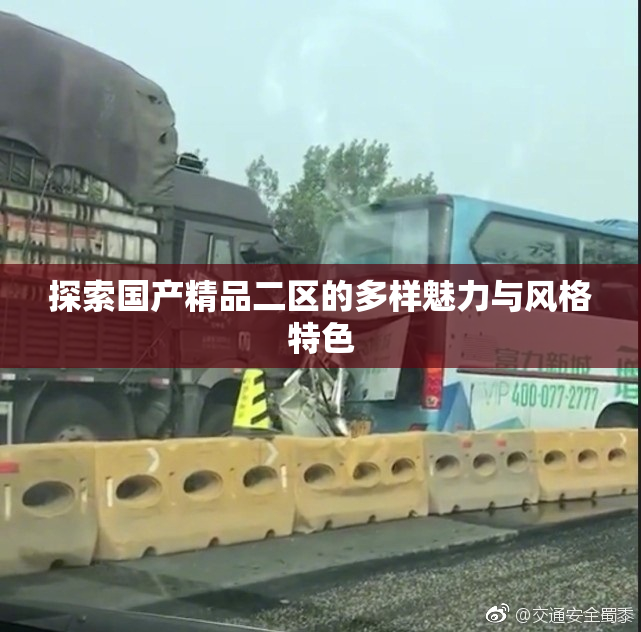 探索国产精品二区的多样魅力与风格特色