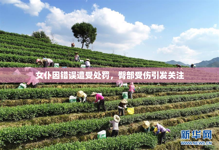 女仆因错误遭受处罚，臀部受伤引发关注