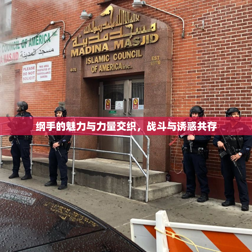 纲手的魅力与力量交织，战斗与诱惑共存