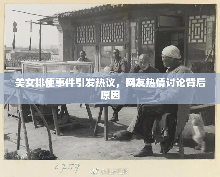 美女排便事件引发热议，网友热情讨论背后原因