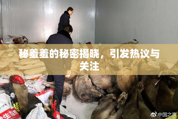秘羞羞的秘密揭晓，引发热议与关注