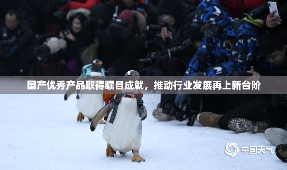 国产优秀产品取得瞩目成就，推动行业发展再上新台阶