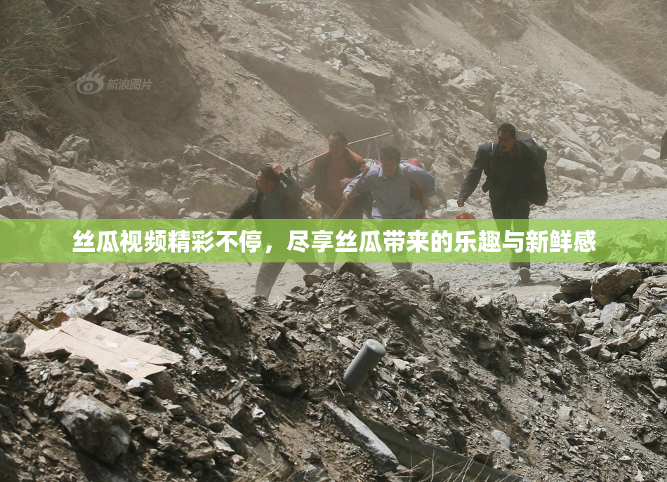 丝瓜视频精彩不停，尽享丝瓜带来的乐趣与新鲜感