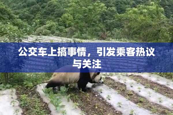 公交车上搞事情，引发乘客热议与关注