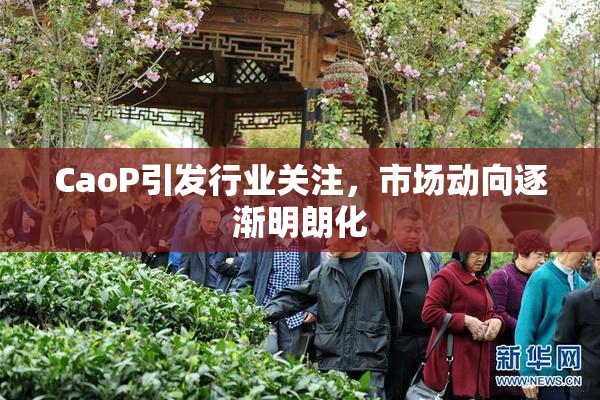 CaoP引发行业关注，市场动向逐渐明朗化