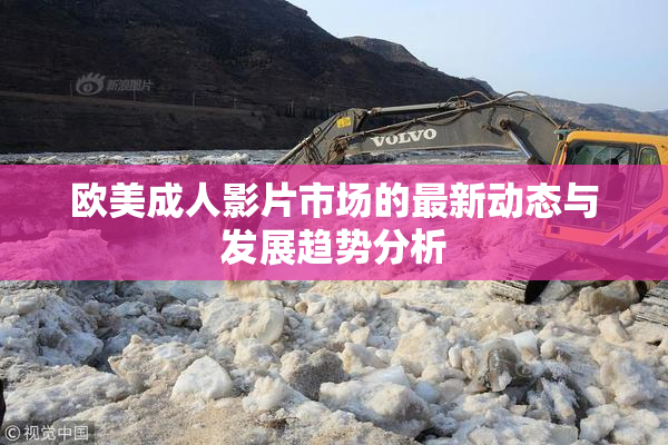 欧美成人影片市场的最新动态与发展趋势分析
