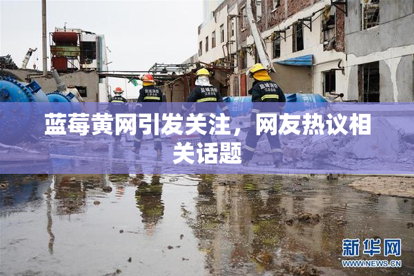 蓝莓黄网引发关注，网友热议相关话题