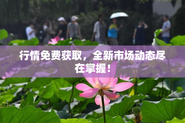 行情免费获取，全新市场动态尽在掌握！