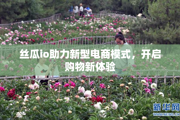 丝瓜io助力新型电商模式，开启购物新体验