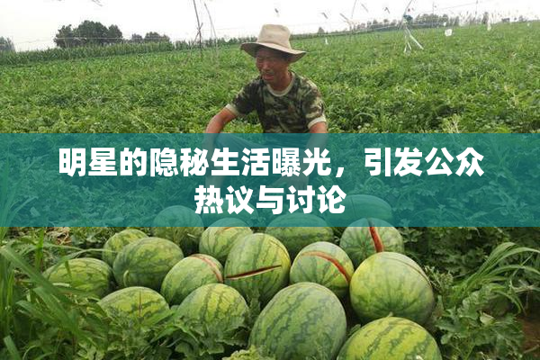 明星的隐秘生活曝光，引发公众热议与讨论