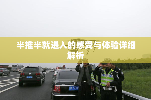 半推半就进入的感受与体验详细解析