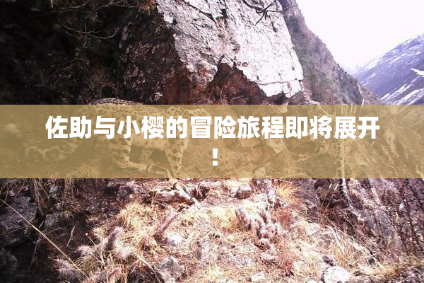 佐助与小樱的冒险旅程即将展开！