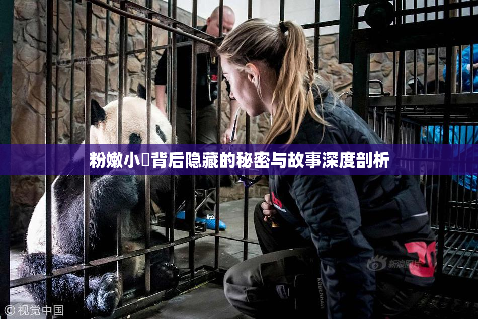 粉嫩小泬背后隐藏的秘密与故事深度剖析